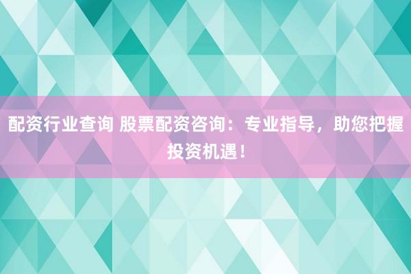 配资行业查询 股票配资咨询：专业指导，助您把握投资机遇！