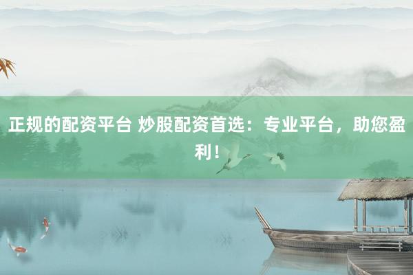 正规的配资平台 炒股配资首选：专业平台，助您盈利！