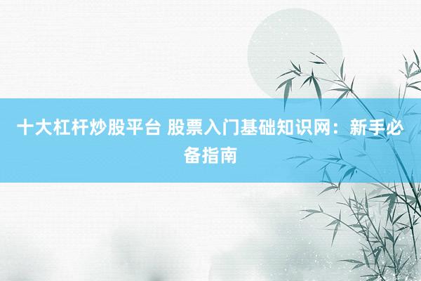 十大杠杆炒股平台 股票入门基础知识网：新手必备指南