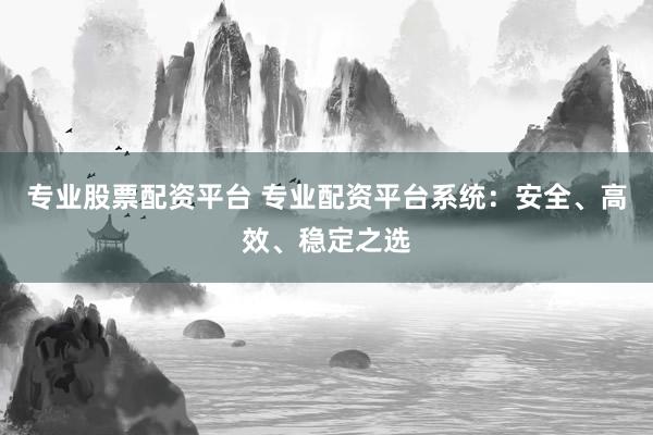 专业股票配资平台 专业配资平台系统：安全、高效、稳定之选