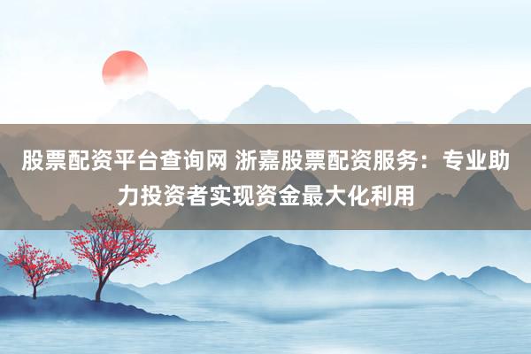 股票配资平台查询网 浙嘉股票配资服务：专业助力投资者实现资金最大化利用