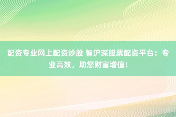 配资专业网上配资炒股 智沪深股票配资平台：专业高效，助您财富增值！