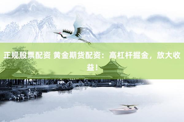 正规股票配资 黄金期货配资：高杠杆掘金，放大收益！