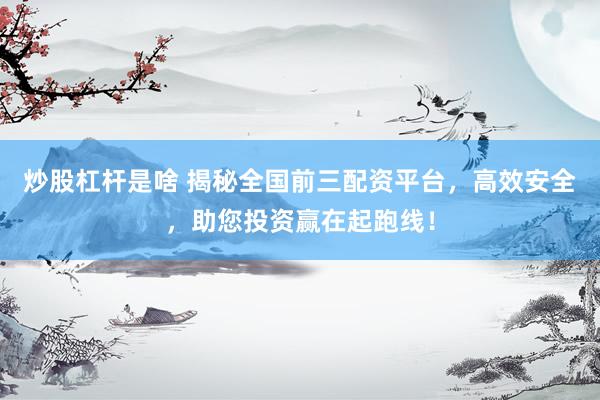 炒股杠杆是啥 揭秘全国前三配资平台，高效安全，助您投资赢在起跑线！