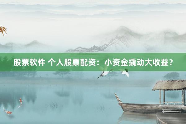 股票软件 个人股票配资：小资金撬动大收益？