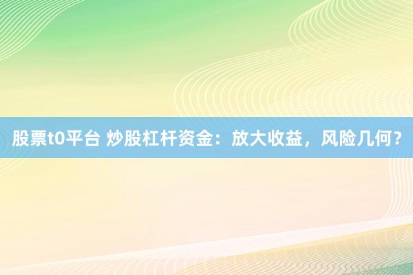 股票t0平台 炒股杠杆资金：放大收益，风险几何？