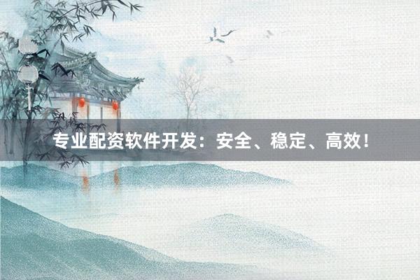 专业配资软件开发：安全、稳定、高效！