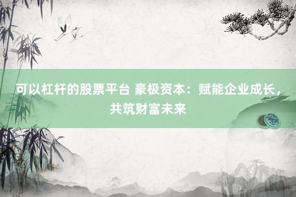 可以杠杆的股票平台 豪极资本：赋能企业成长，共筑财富未来