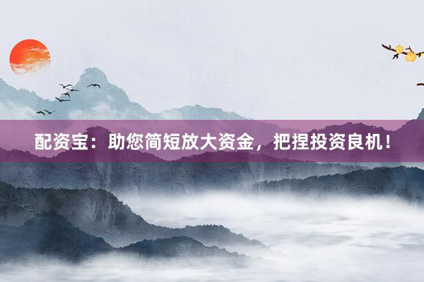 配资宝：助您简短放大资金，把捏投资良机！