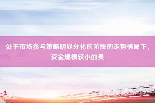 处于市场参与策略明显分化的阶段的走势格局下，资金规模较小的灵