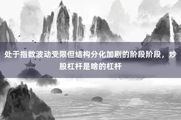 处于指数波动受限但结构分化加剧的阶段阶段，炒股杠杆是啥的杠杆