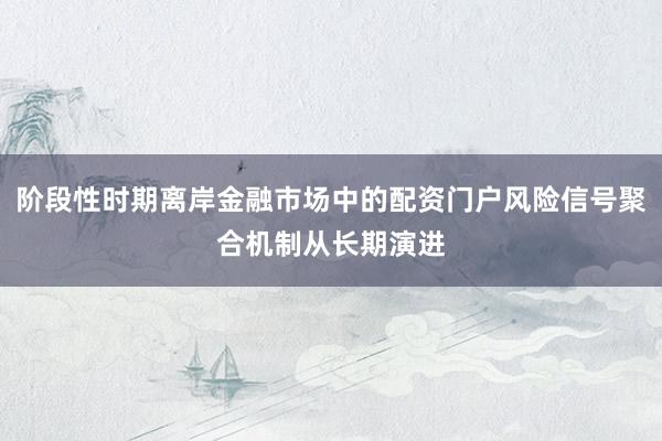 阶段性时期离岸金融市场中的配资门户风险信号聚合机制从长期演进