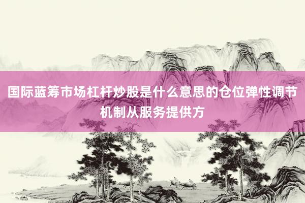 国际蓝筹市场杠杆炒股是什么意思的仓位弹性调节机制从服务提供方