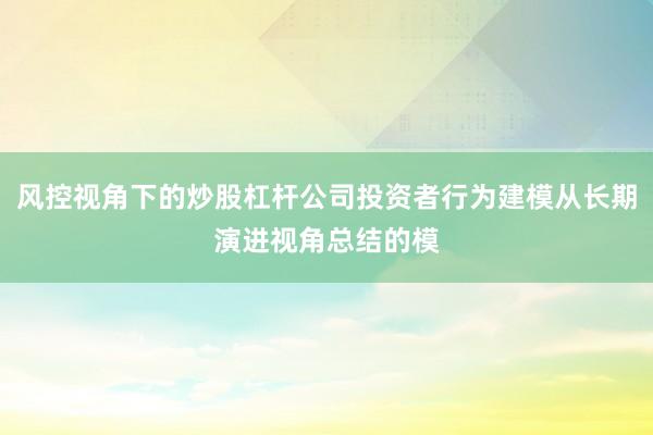 风控视角下的炒股杠杆公司投资者行为建模从长期演进视角总结的模